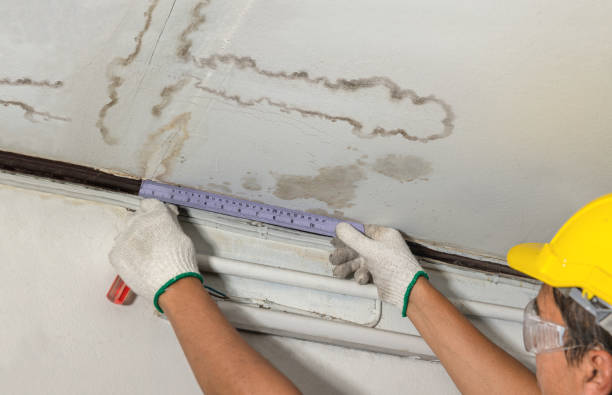 Reliable Burst Pipe Cleanup contractor in Tonasket, WA by Water Damage Irwin